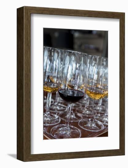 Europe, Portugal, Valenca Do Douro, Tasting Room at Sandeman Winery-Lisa S. Engelbrecht-Framed Photographic Print