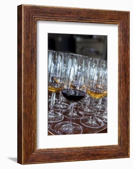 Europe, Portugal, Valenca Do Douro, Tasting Room at Sandeman Winery-Lisa S. Engelbrecht-Framed Photographic Print