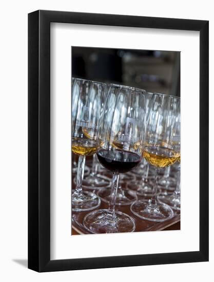 Europe, Portugal, Valenca Do Douro, Tasting Room at Sandeman Winery-Lisa S. Engelbrecht-Framed Photographic Print