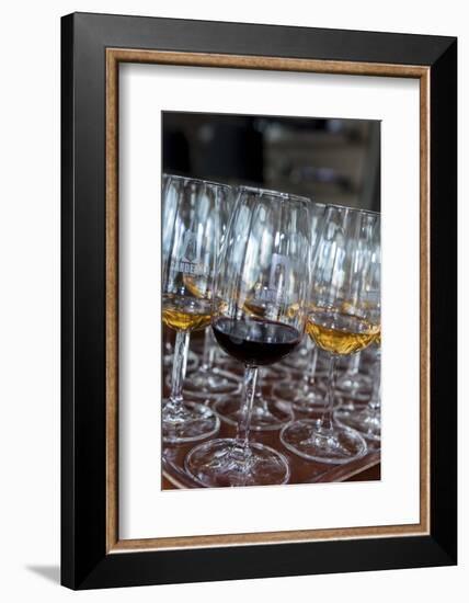 Europe, Portugal, Valenca Do Douro, Tasting Room at Sandeman Winery-Lisa S. Engelbrecht-Framed Photographic Print