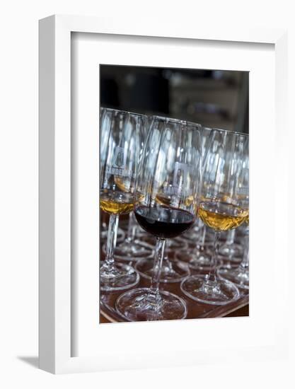 Europe, Portugal, Valenca Do Douro, Tasting Room at Sandeman Winery-Lisa S. Engelbrecht-Framed Photographic Print