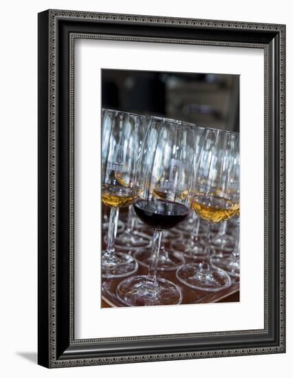 Europe, Portugal, Valenca Do Douro, Tasting Room at Sandeman Winery-Lisa S. Engelbrecht-Framed Photographic Print