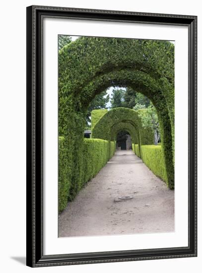 Europe, Portugal, Vila Real, Palace of Mateus, Formal Garden-Lisa S. Engelbrecht-Framed Photographic Print