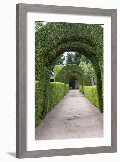 Europe, Portugal, Vila Real, Palace of Mateus, Formal Garden-Lisa S. Engelbrecht-Framed Photographic Print
