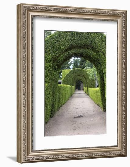 Europe, Portugal, Vila Real, Palace of Mateus, Formal Garden-Lisa S. Engelbrecht-Framed Photographic Print