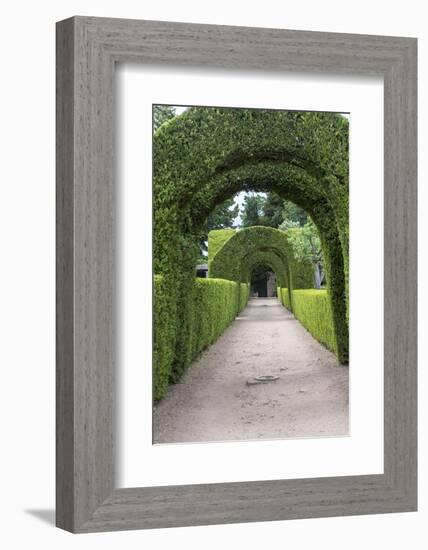 Europe, Portugal, Vila Real, Palace of Mateus, Formal Garden-Lisa S. Engelbrecht-Framed Photographic Print