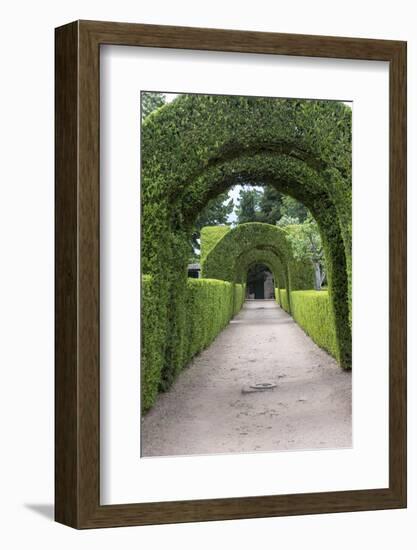 Europe, Portugal, Vila Real, Palace of Mateus, Formal Garden-Lisa S. Engelbrecht-Framed Photographic Print