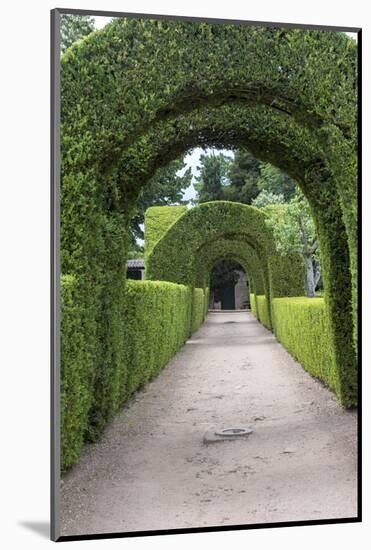 Europe, Portugal, Vila Real, Palace of Mateus, Formal Garden-Lisa S. Engelbrecht-Mounted Photographic Print