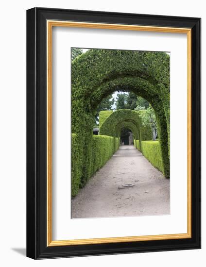 Europe, Portugal, Vila Real, Palace of Mateus, Formal Garden-Lisa S. Engelbrecht-Framed Photographic Print