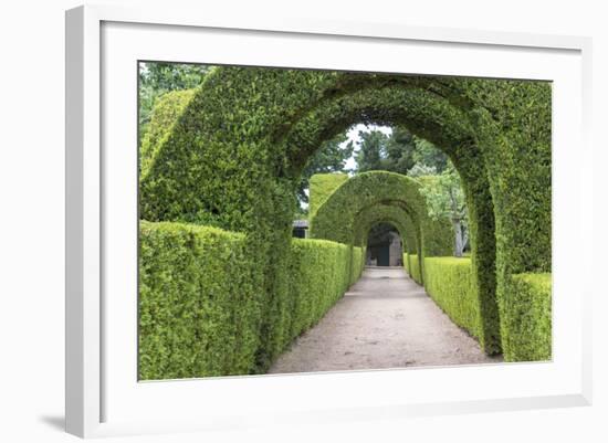 Europe, Portugal, Vila Real, Palace of Mateus, Formal Garden-Lisa S. Engelbrecht-Framed Photographic Print