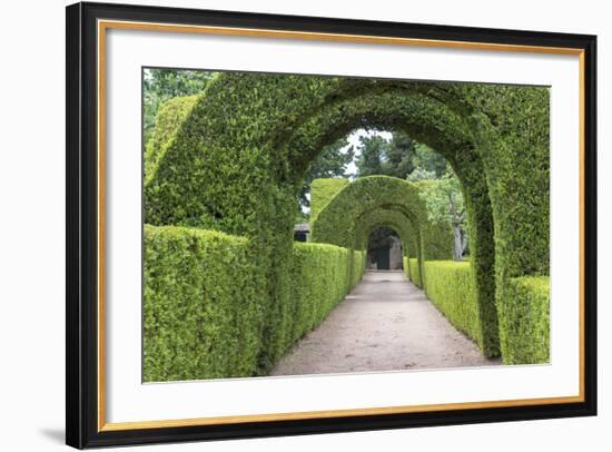 Europe, Portugal, Vila Real, Palace of Mateus, Formal Garden-Lisa S. Engelbrecht-Framed Photographic Print