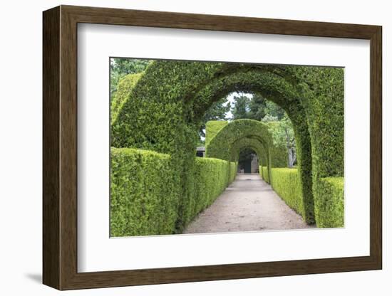 Europe, Portugal, Vila Real, Palace of Mateus, Formal Garden-Lisa S. Engelbrecht-Framed Photographic Print