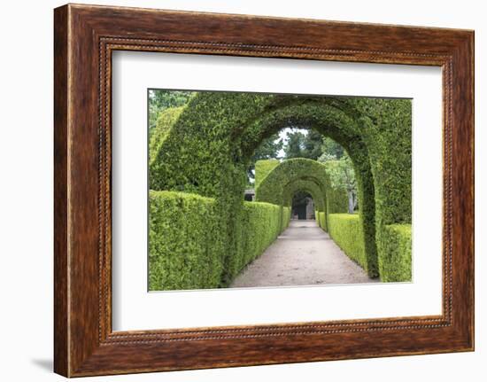 Europe, Portugal, Vila Real, Palace of Mateus, Formal Garden-Lisa S. Engelbrecht-Framed Photographic Print