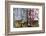 Europe, Romania. Brasov. Romanian embroidery, stitching and weavings.-Emily Wilson-Framed Photographic Print