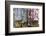 Europe, Romania. Brasov. Romanian embroidery, stitching and weavings.-Emily Wilson-Framed Photographic Print