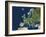 Europe, Satellite Image-PLANETOBSERVER-Framed Photographic Print