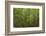 Europe, Scotland, Cairngorm National Park. Calm Lake in Forest-Cathy & Gordon Illg-Framed Photographic Print