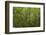 Europe, Scotland, Cairngorm National Park. Calm Lake in Forest-Cathy & Gordon Illg-Framed Photographic Print