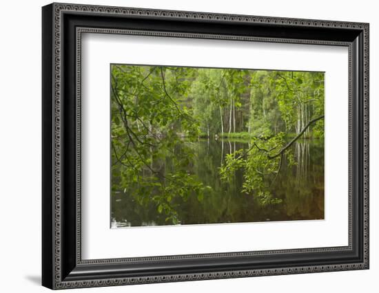 Europe, Scotland, Cairngorm National Park. Calm Lake in Forest-Cathy & Gordon Illg-Framed Photographic Print