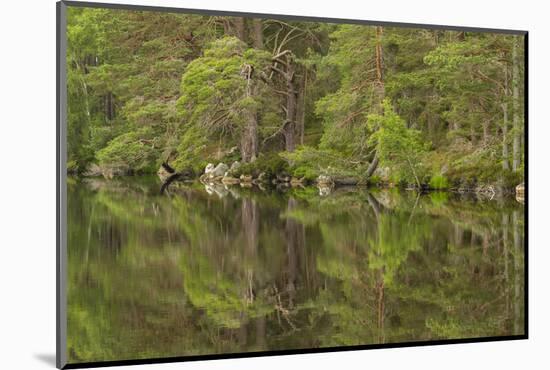 Europe, Scotland, Cairngorm National Park. Calm Lake in Forest-Cathy & Gordon Illg-Mounted Photographic Print