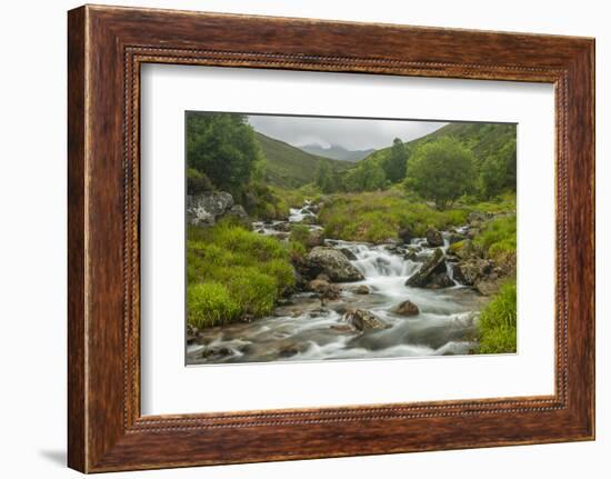 Europe, Scotland, Cairngorm National Park. Mountain Stream Cascade-Cathy & Gordon Illg-Framed Photographic Print