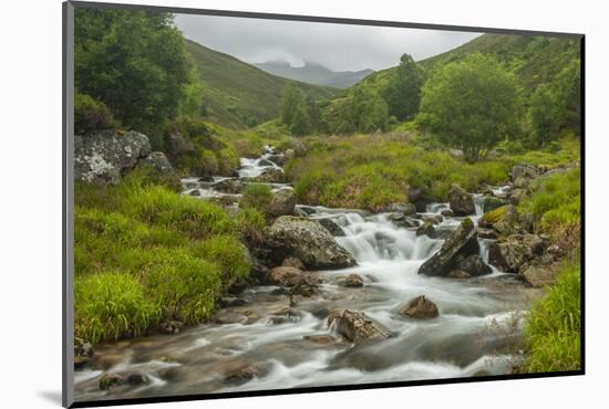 Europe, Scotland, Cairngorm National Park. Mountain Stream Cascade-Cathy & Gordon Illg-Mounted Photographic Print