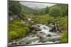 Europe, Scotland, Cairngorm National Park. Mountain Stream Cascade-Cathy & Gordon Illg-Mounted Photographic Print