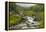 Europe, Scotland, Cairngorm National Park. Mountain Stream Cascade-Cathy & Gordon Illg-Framed Premier Image Canvas