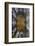 Europe, Scotland, Edinburgh, St Giles Cathedral-Mark Sykes-Framed Photographic Print