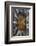 Europe, Scotland, Edinburgh, St Giles Cathedral-Mark Sykes-Framed Photographic Print