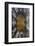 Europe, Scotland, Edinburgh, St Giles Cathedral-Mark Sykes-Framed Photographic Print