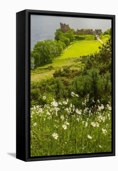 Europe, Scotland, Loch Ness. Landscape of Castle Urquhart Ruins-Cathy & Gordon Illg-Framed Premier Image Canvas