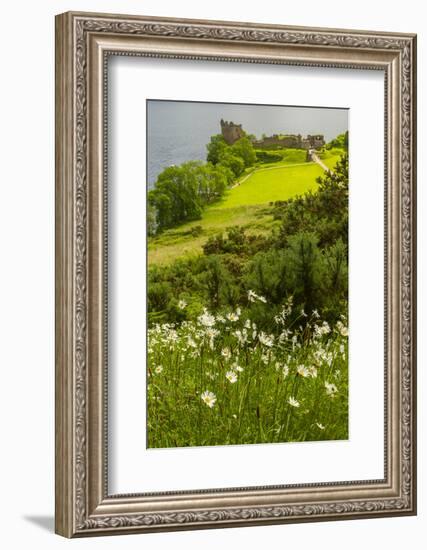 Europe, Scotland, Loch Ness. Landscape of Castle Urquhart Ruins-Cathy & Gordon Illg-Framed Photographic Print