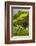 Europe, Scotland, Loch Ness. Landscape of Castle Urquhart Ruins-Cathy & Gordon Illg-Framed Photographic Print