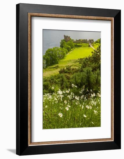 Europe, Scotland, Loch Ness. Landscape of Castle Urquhart Ruins-Cathy & Gordon Illg-Framed Photographic Print