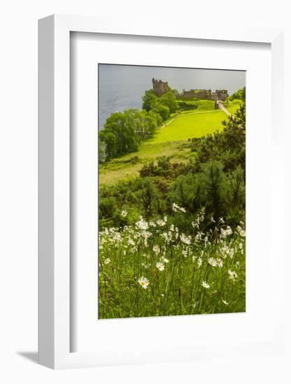 Europe, Scotland, Loch Ness. Landscape of Castle Urquhart Ruins-Cathy & Gordon Illg-Framed Photographic Print