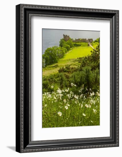 Europe, Scotland, Loch Ness. Landscape of Castle Urquhart Ruins-Cathy & Gordon Illg-Framed Photographic Print