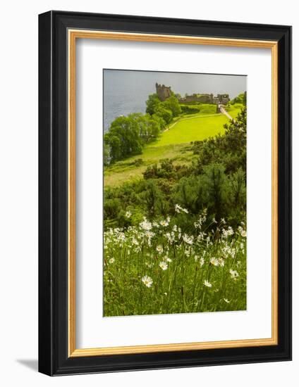 Europe, Scotland, Loch Ness. Landscape of Castle Urquhart Ruins-Cathy & Gordon Illg-Framed Photographic Print
