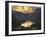 Europe, Slovenia, Bohinj - High View Over Lake Bohinj At Sunset-Aliaume Chapelle-Framed Photographic Print