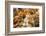 Europe, Spain, Barcelona, St. Josep La Boqueria, Food Market, Fruit-Lisa S. Engelbrecht-Framed Photographic Print