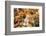 Europe, Spain, Barcelona, St. Josep La Boqueria, Food Market, Fruit-Lisa S. Engelbrecht-Framed Photographic Print