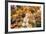 Europe, Spain, Barcelona, St. Josep La Boqueria, Food Market, Fruit-Lisa S. Engelbrecht-Framed Photographic Print