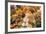 Europe, Spain, Barcelona, St. Josep La Boqueria, Food Market, Fruit-Lisa S. Engelbrecht-Framed Photographic Print