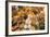 Europe, Spain, Barcelona, St. Josep La Boqueria, Food Market, Fruit-Lisa S. Engelbrecht-Framed Photographic Print