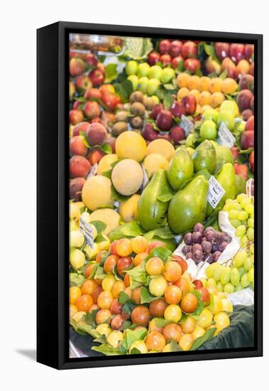 Europe, Spain, Barcelona, St. Josep La Boqueria, Food Market, Fruit-Lisa S. Engelbrecht-Framed Premier Image Canvas