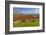 Europe, Spain, Majorca, Meadow, Donkey, Almonds-Chris Seba-Framed Photographic Print