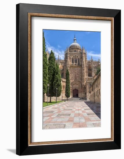 Europe, Spain, Salamanca, Cathedral Exterior-Lisa S. Engelbrecht-Framed Photographic Print