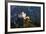 Europe, Switzerland, Graubunden, Engadine, Scuol Tarasp, Scuol Castle, (Schloss Tarasp)-Christian Kober-Framed Photographic Print