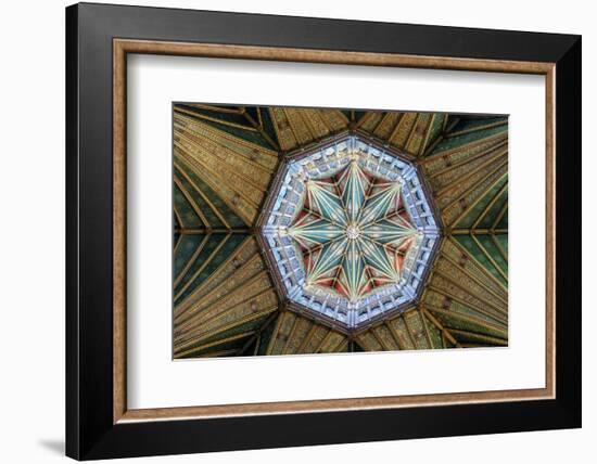 Europe, United Kingdom, England, Cambridgeshire, Ely, Ely Cathedral-Mark Sykes-Framed Photographic Print