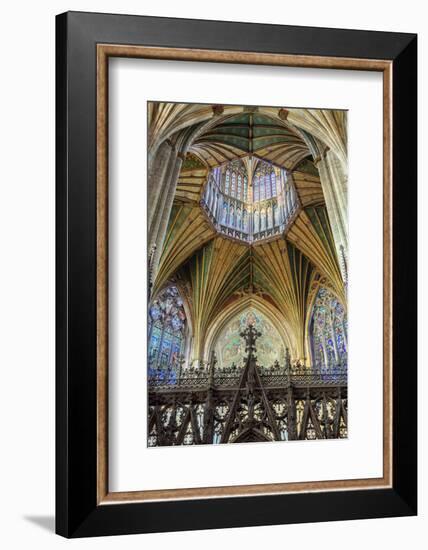 Europe, United Kingdom, England, Cambridgeshire, Ely, Ely Cathedral-Mark Sykes-Framed Photographic Print